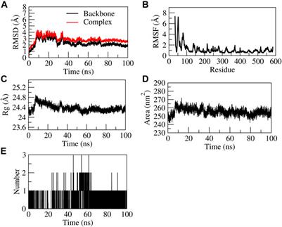 Ethyl gallate isolated from phenol-enriched fraction of Caesalpinia mimosoides Lam. Promotes cutaneous wound healing: a scientific validation through bioassay-guided fractionation